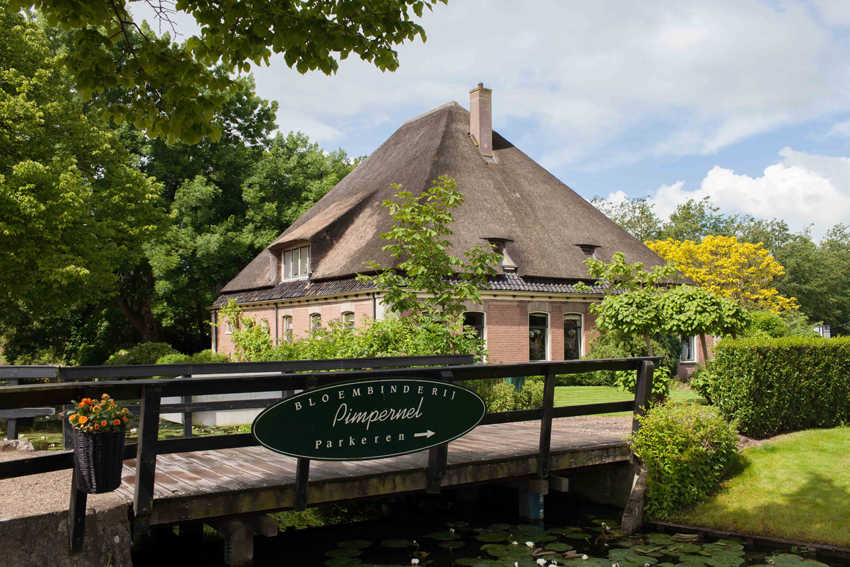 NIEUWE NIEDORP DORPSSTRAAT PIMPERNEL (1).jpg