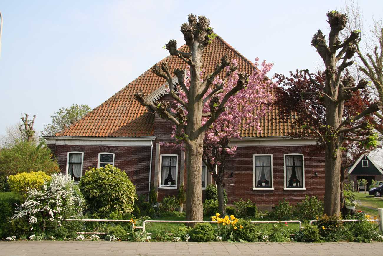 ASSENDELFT D 475 (2011) 01.JPG