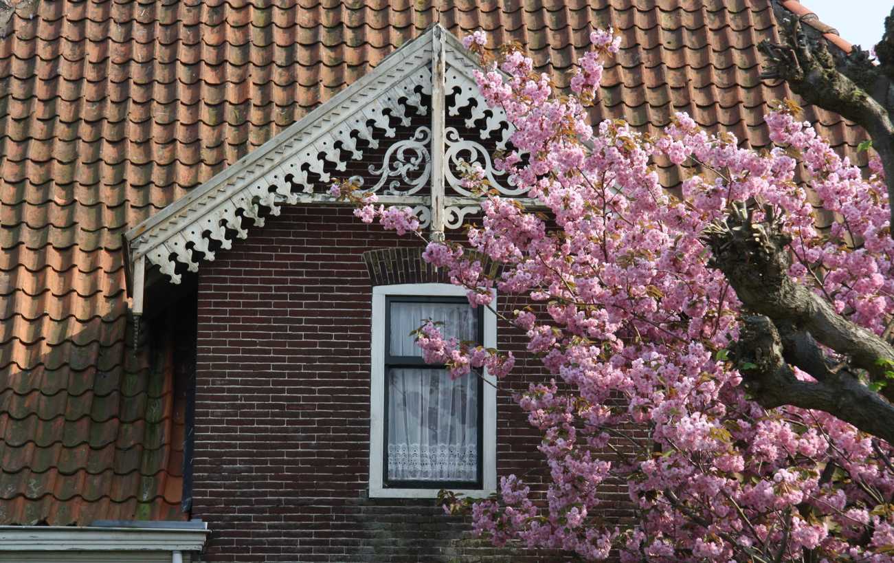 Dorpsstraat 475 Assendelft Boerderijenstichting Noord Holland Dorpsstraat 475 Assendelft Boerderijenstichting Noord Holland