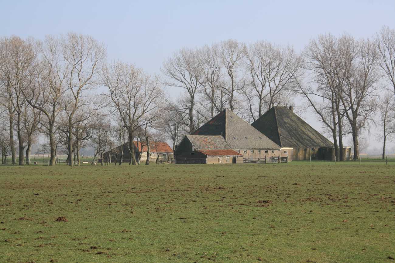 WATERINGSKANT 1 (2012) IMG_3705.JPG