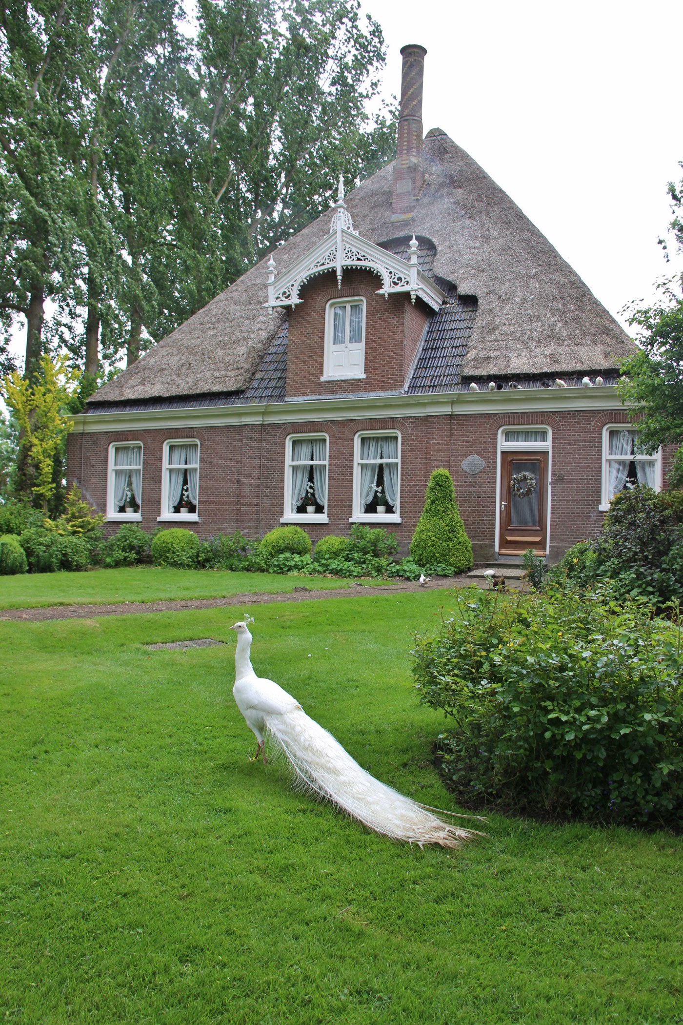 Binnenkijker 81, 2015