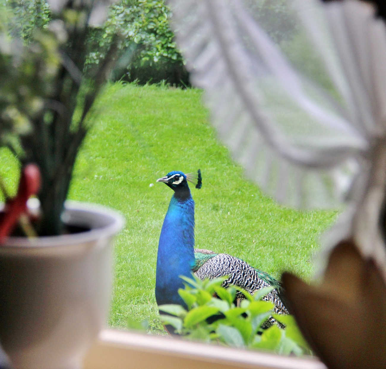 PAG.11 FOTO 02 (1850x1769).jpg