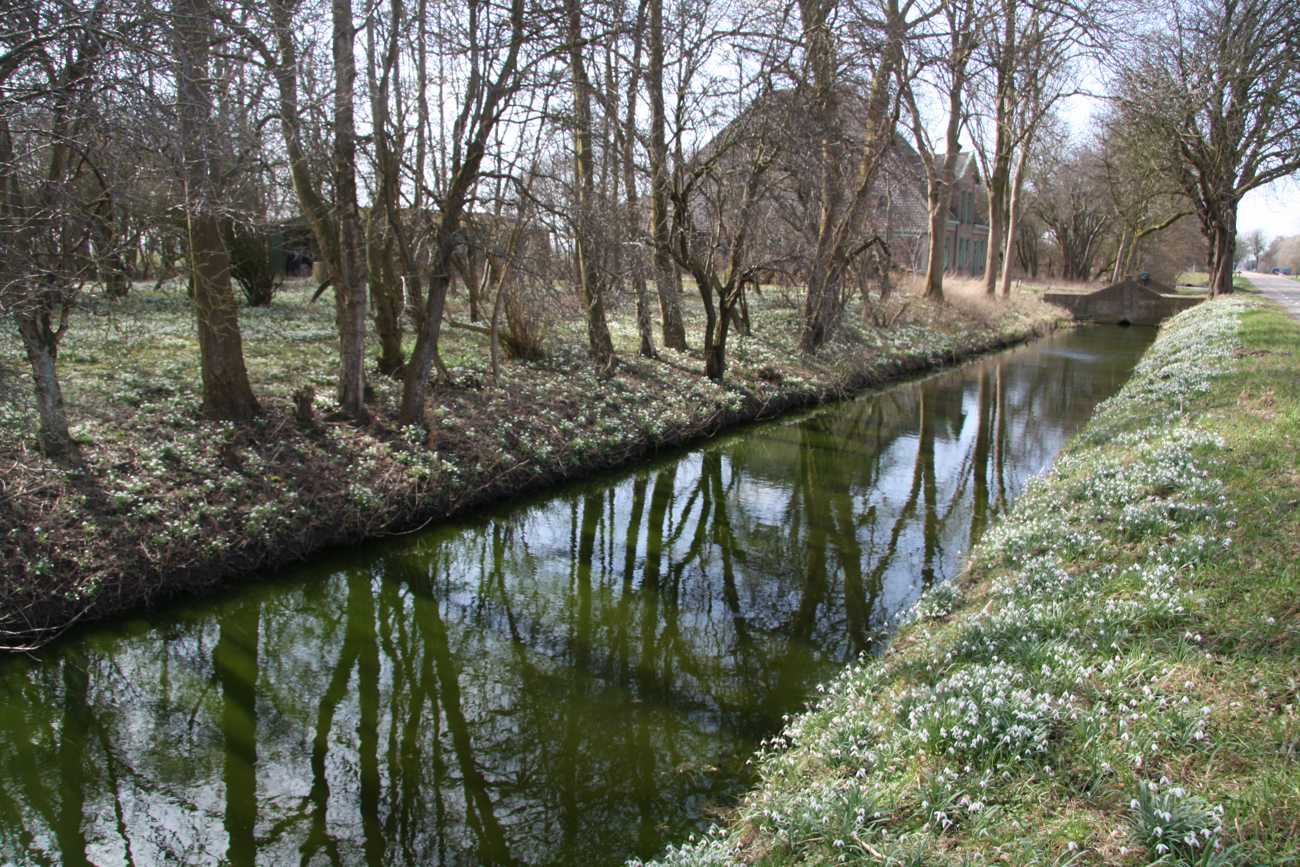 OTERLEEK LANGE MOLENWEG 2 (2010).JPG (1)