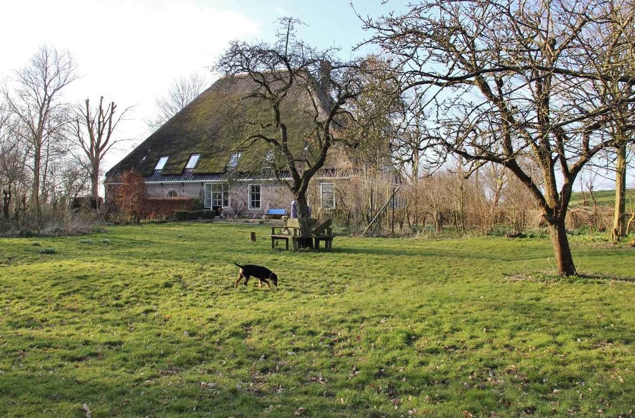 PAG.11 FOTO 07 (2100x1381).jpg