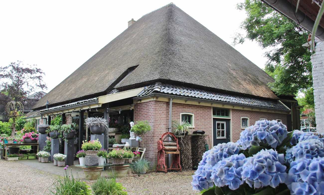 PAG.11 FOTO 01 (1750x1054).jpg