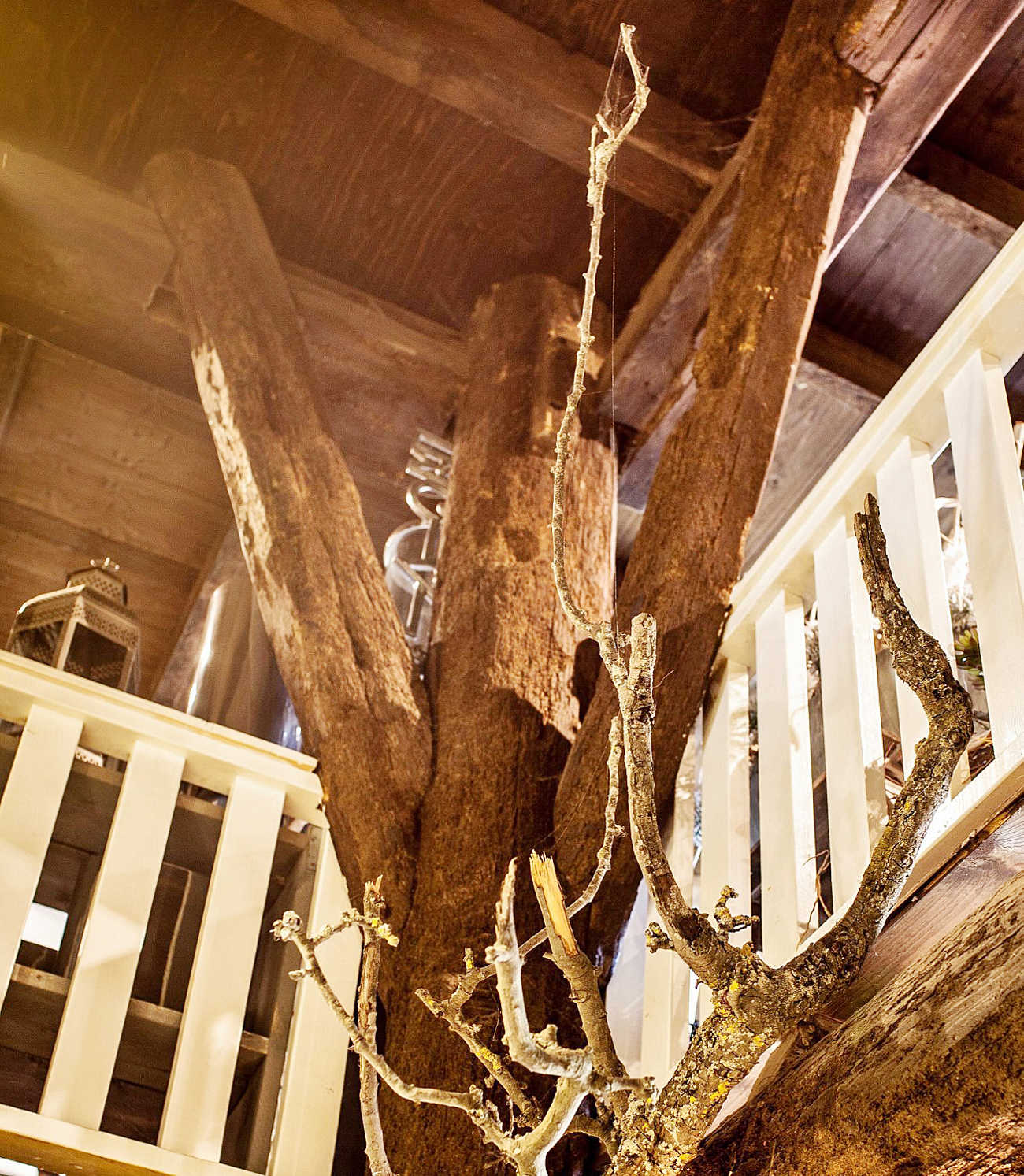 PAG.11 FOTO 02 (1306x1500).jpg