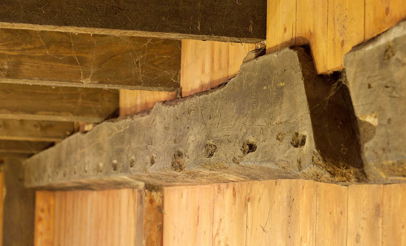 PAG.11 FOTO 03 (1750x1061).jpg