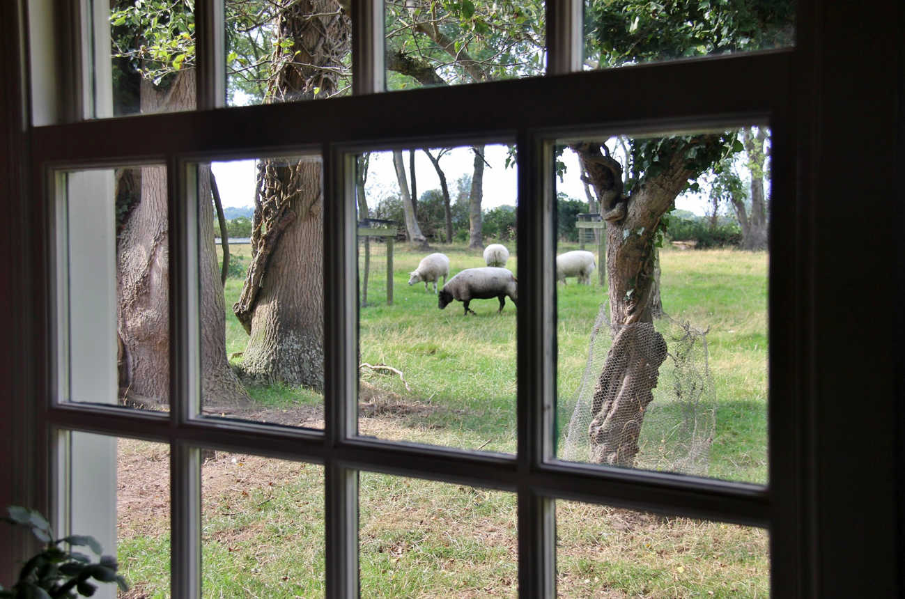 PAG.15 FOTO 04 (2100x1390).jpg