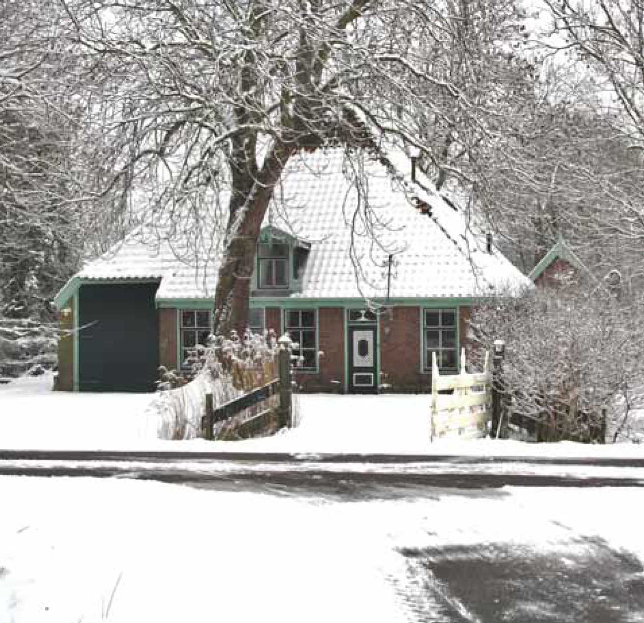 Nieuwsbrief 71, december 2012