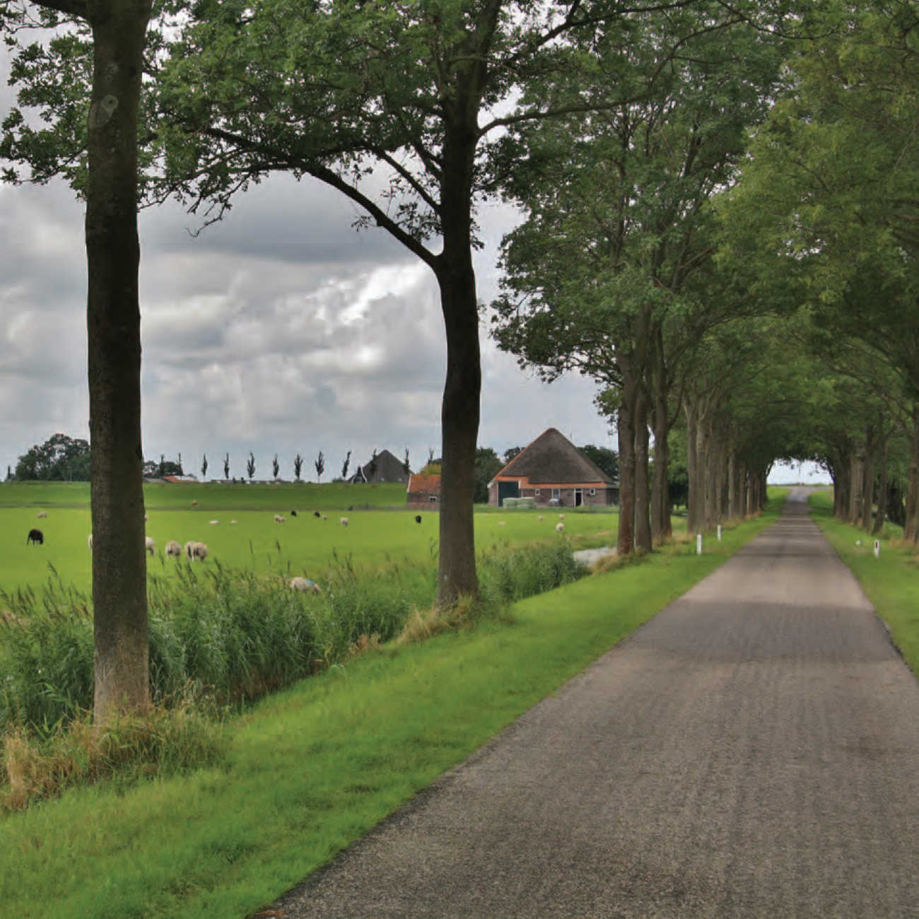 Nieuwsbrief 70, Oktober 2012