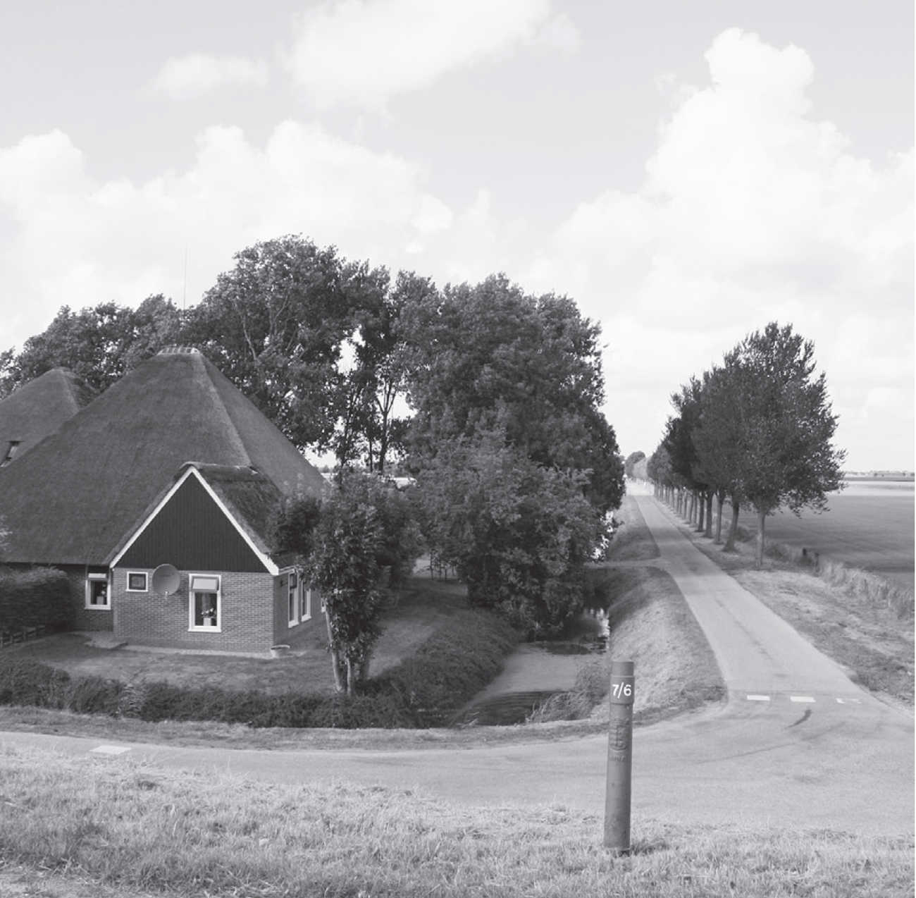 Nieuwsbrief 61, juli 2010