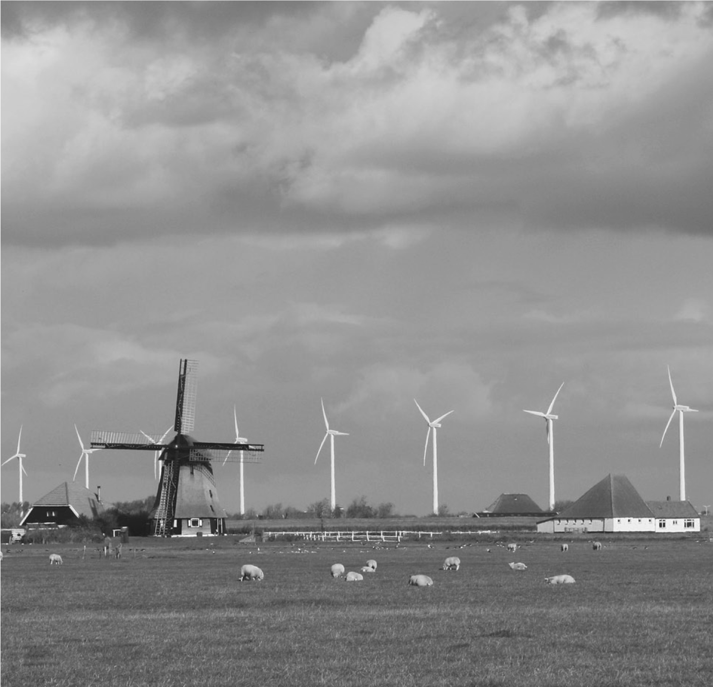 Nieuwsbrief 59, december 2009