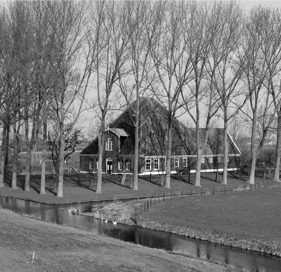 Nieuwsbrief 56, maart 2009