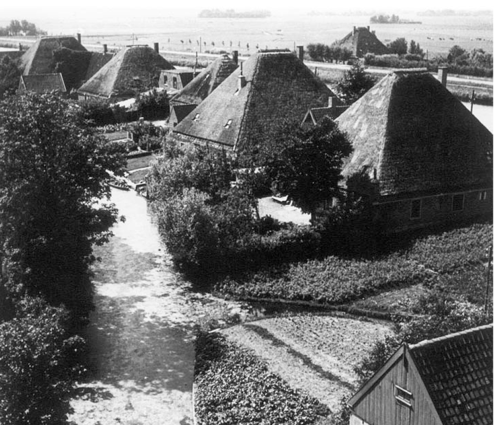 Nieuwsbrief 45, mei 2006