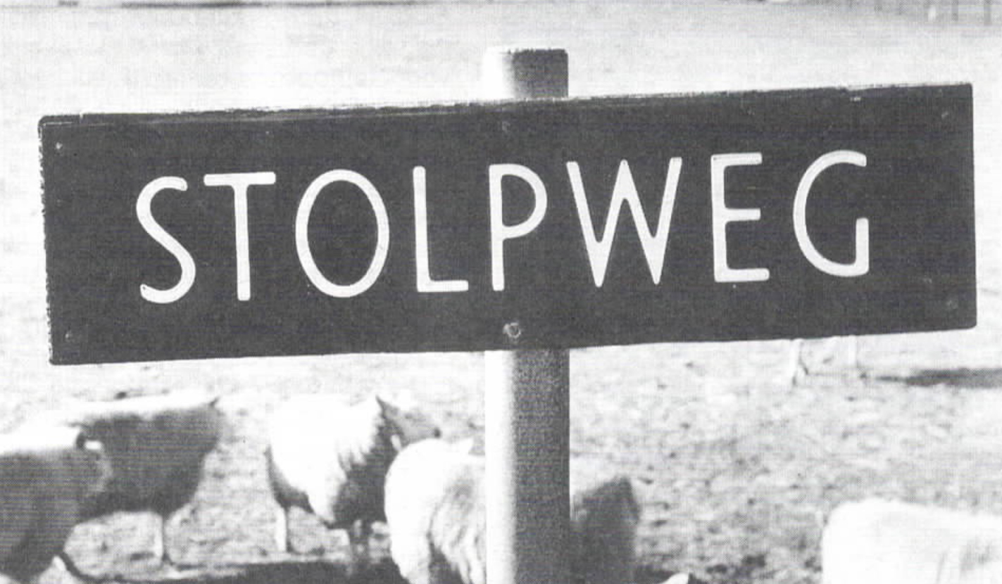 Nieuwsbrief 11, december 1993