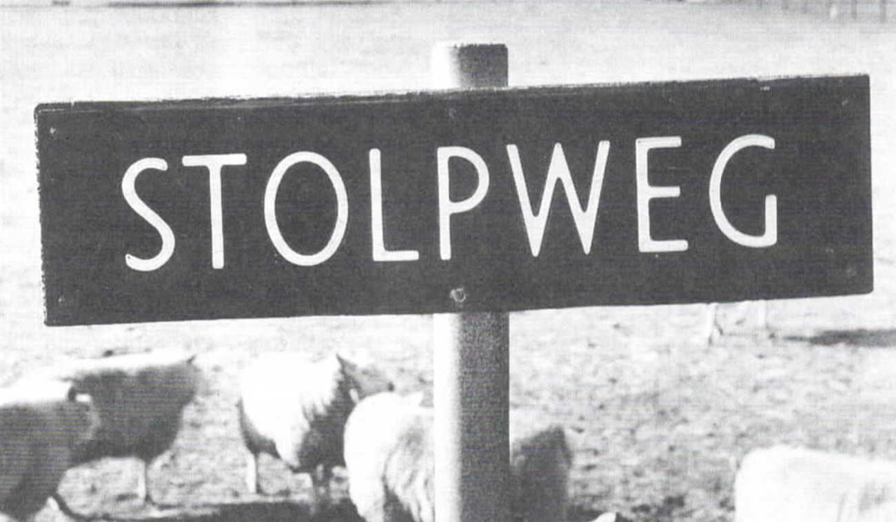 Nieuwsbrief 11, december 1993