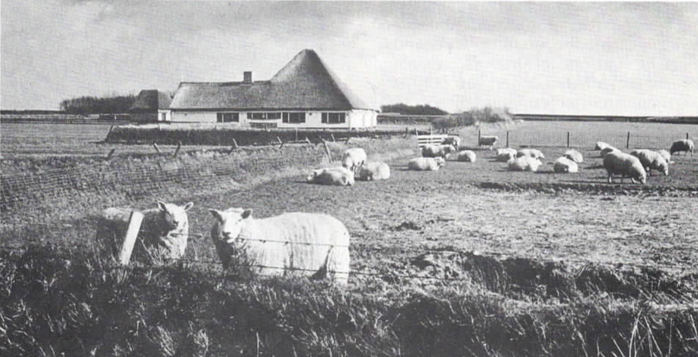 Nieuwsbrief 13, december 1994