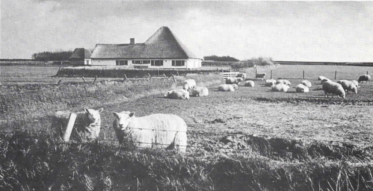 Nieuwsbrief 13, december 1994