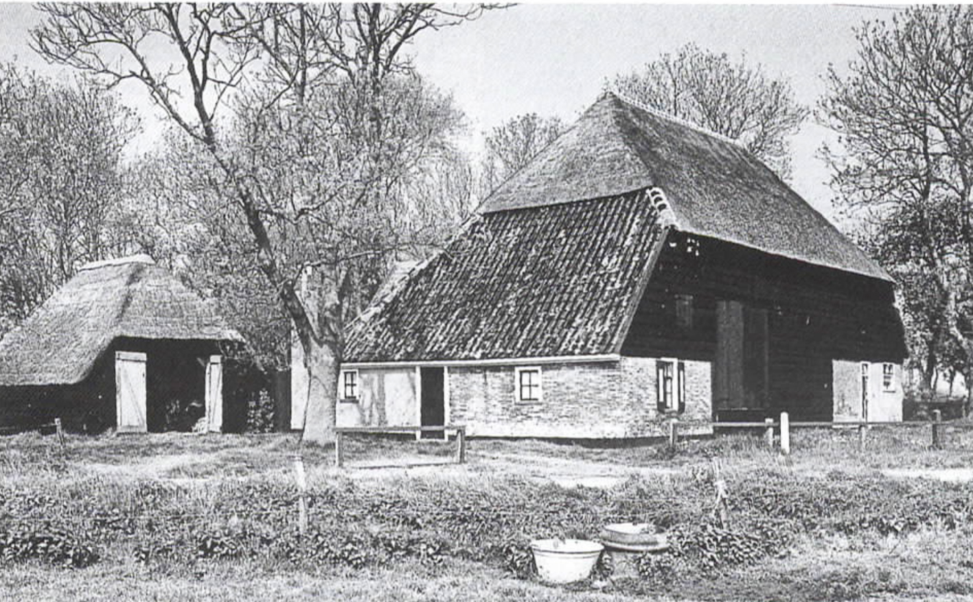 Nieuwsbrief 31, september 2001