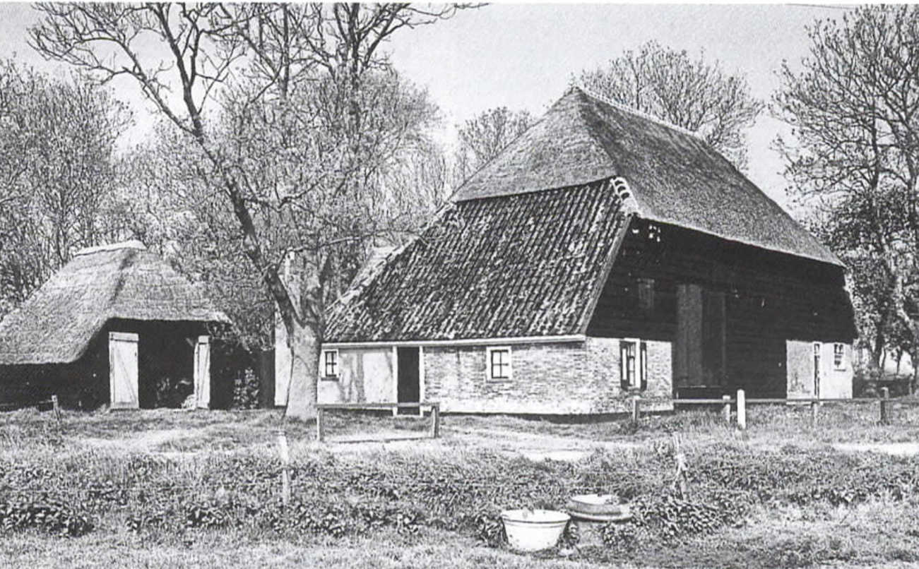 Nieuwsbrief 31, september 2001