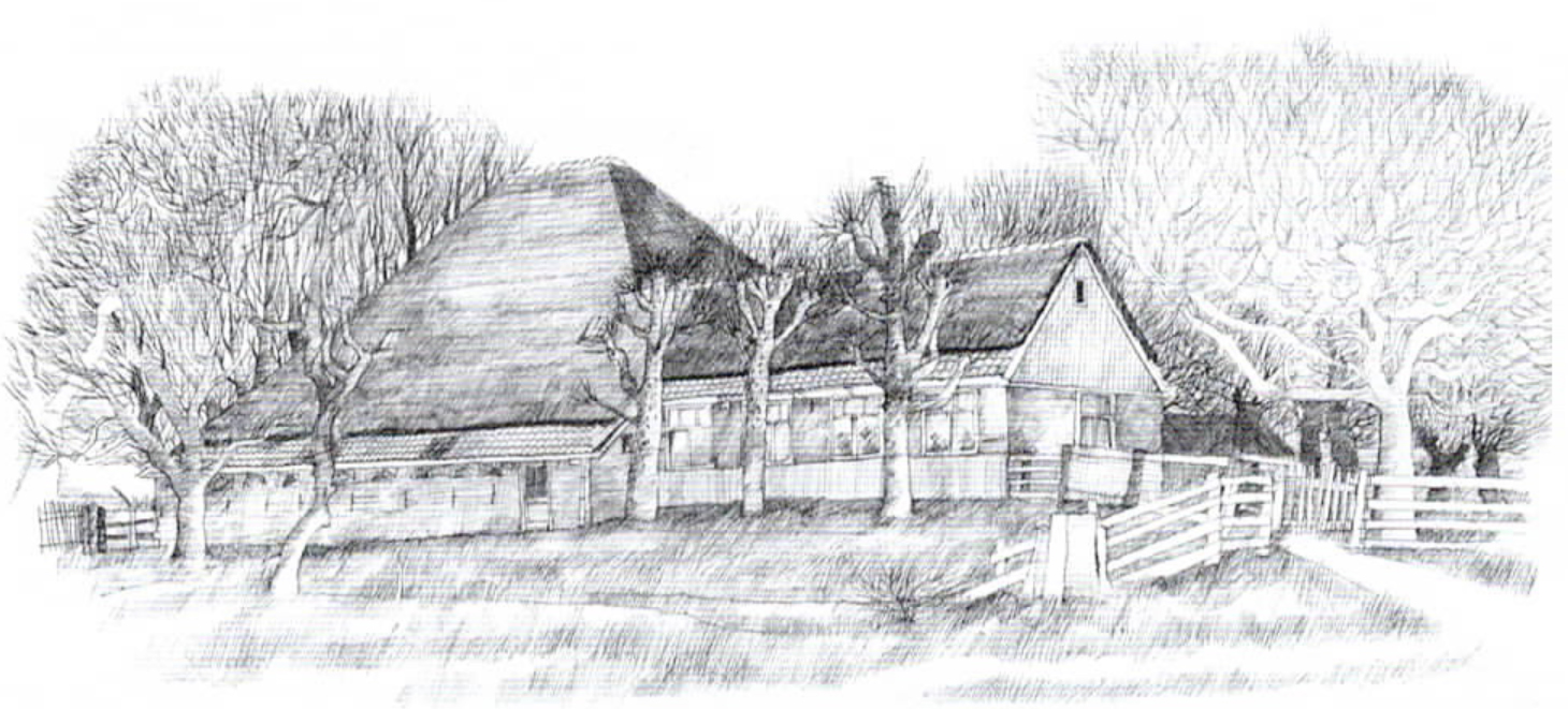 Nieuwsbrief 36, mei 2003