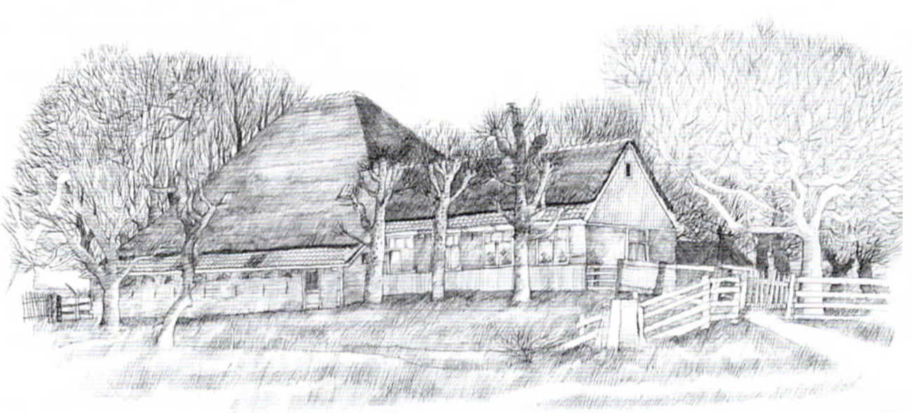 Nieuwsbrief 36, mei 2003