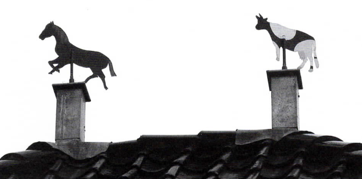 Nieuwsbrief 48, april 2007