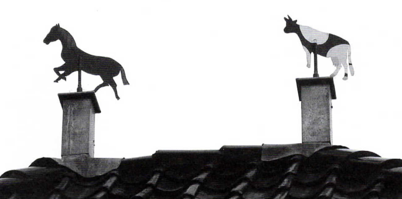 Nieuwsbrief 48, april 2007