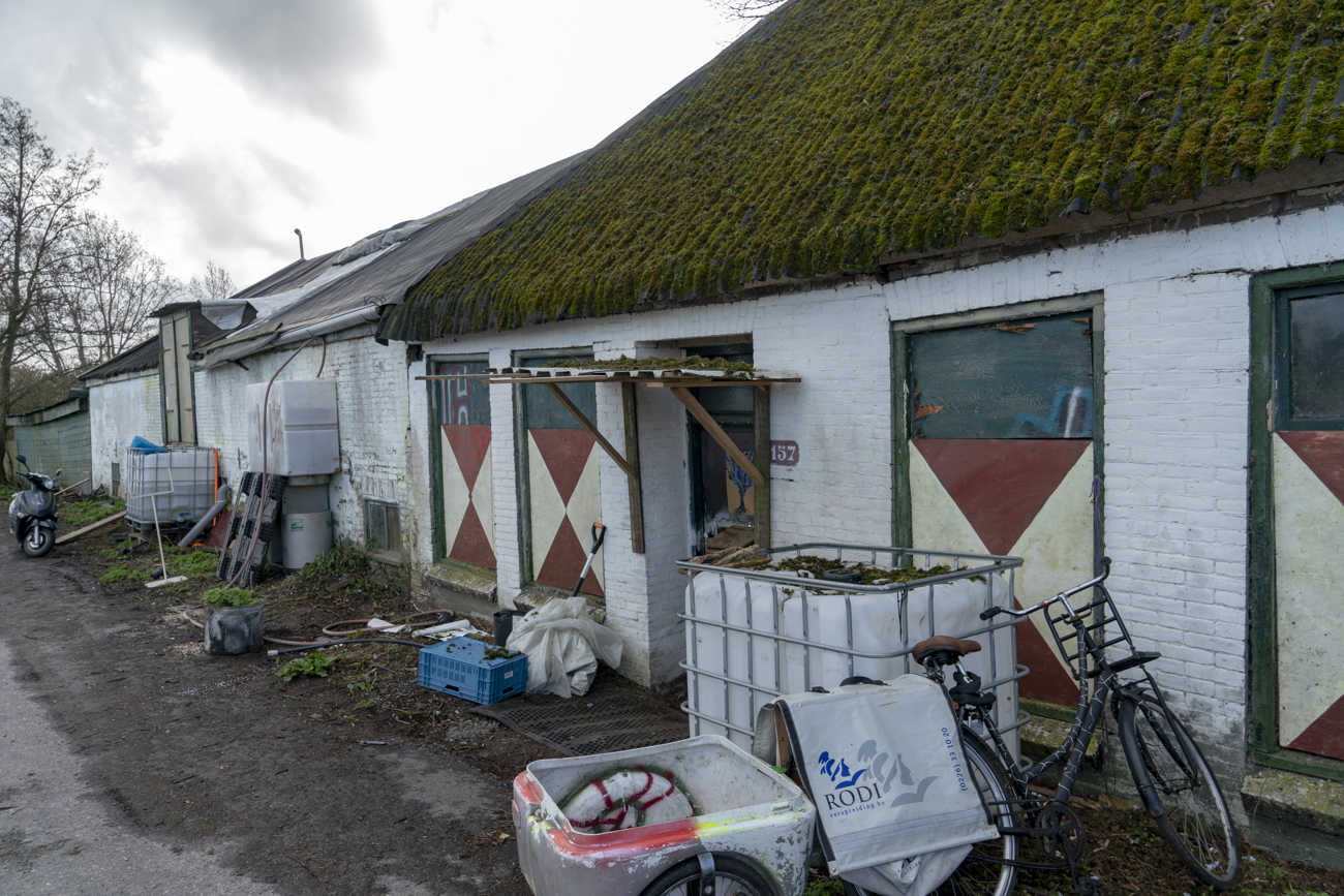 Buikslotermeerdijk 157, Amsterdam_1.jpg