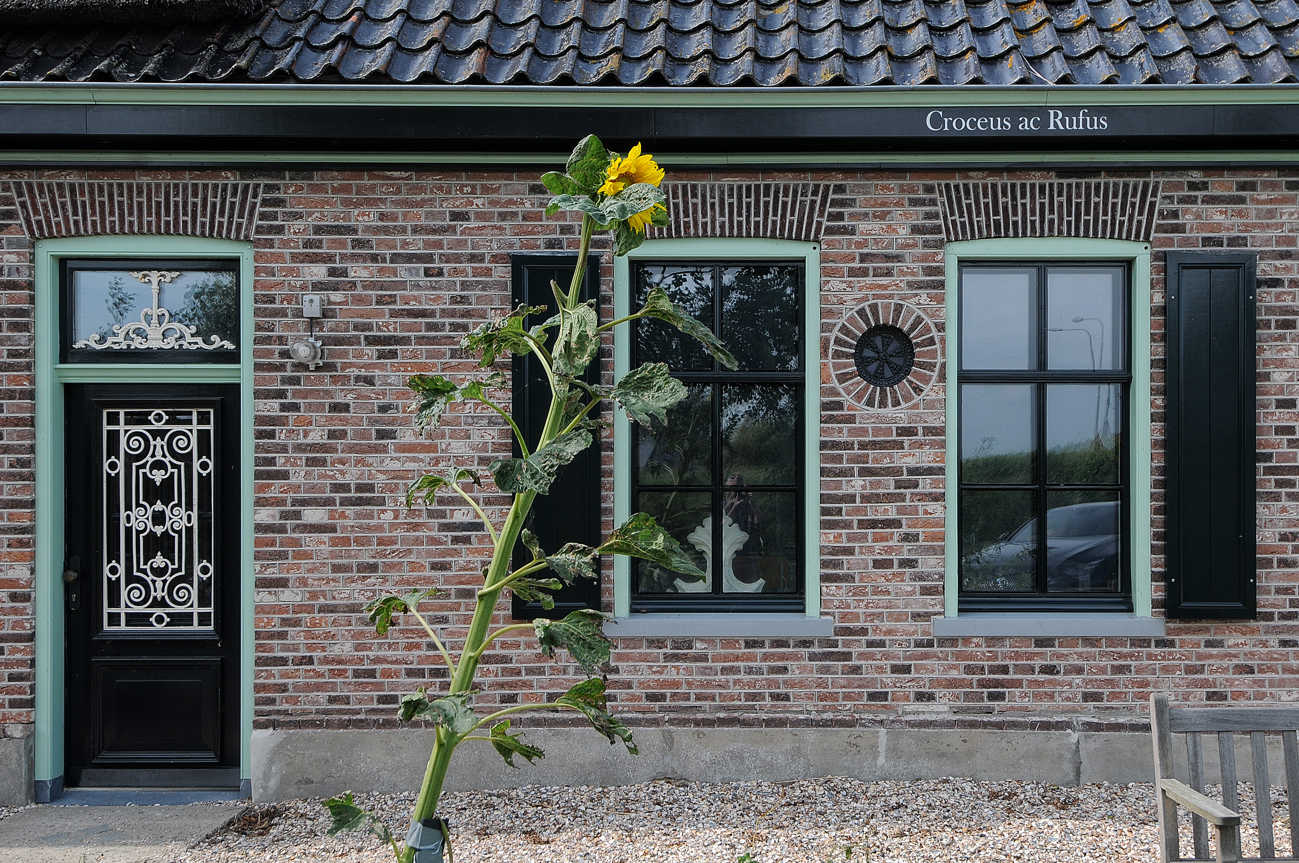 boerderijstichting augustus DSC_1183.jpg