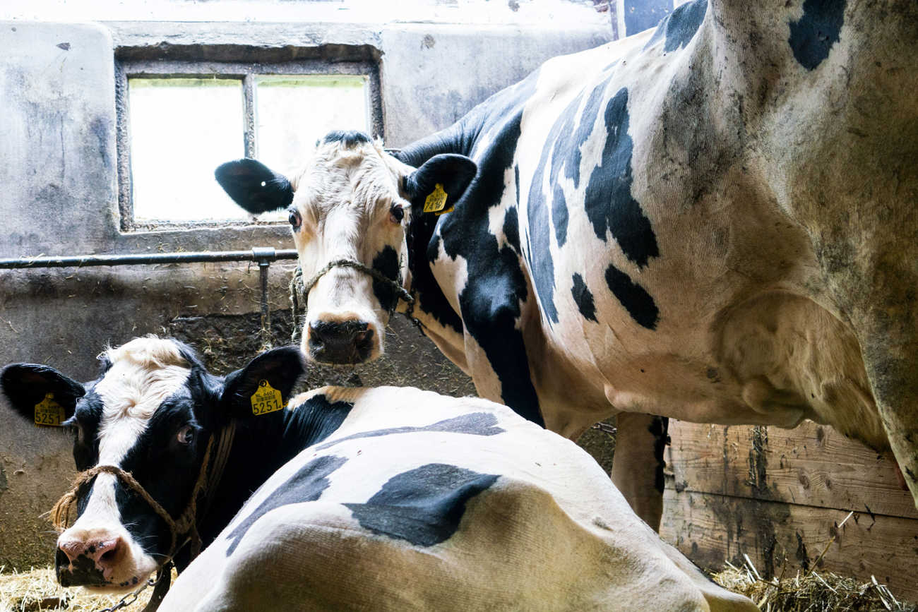 Binnenkijker 101, 2020