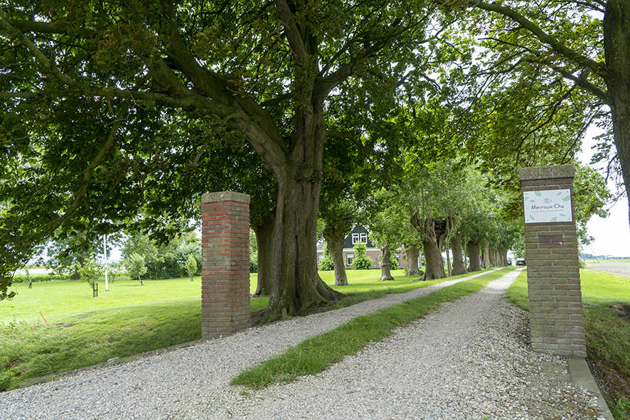 Noordervaart 30, Stompetoren1.jpg