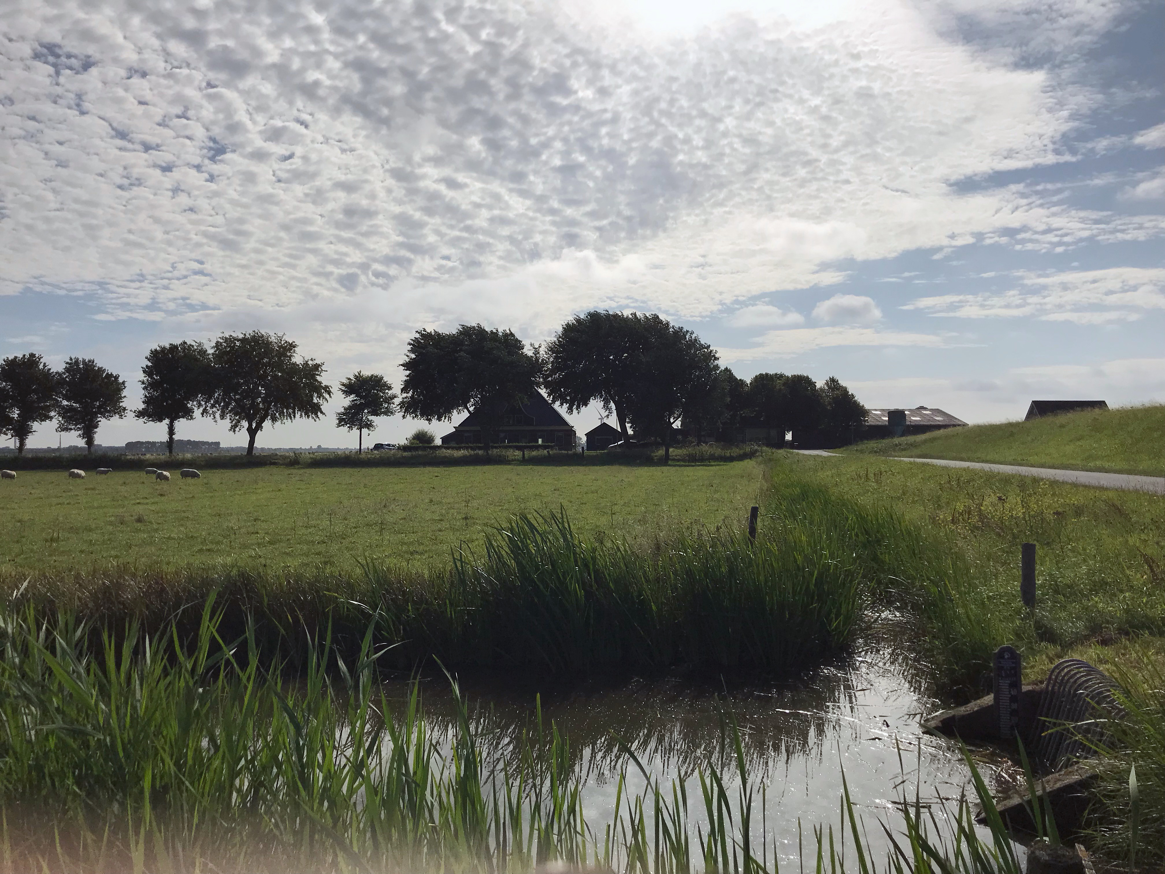 Magazine 106, september 2021