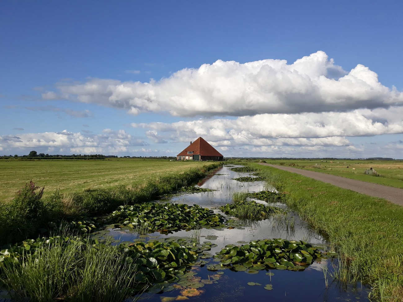 Nieuws november 2021